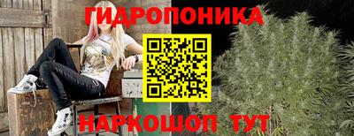 mdma Ачхой-Мартан