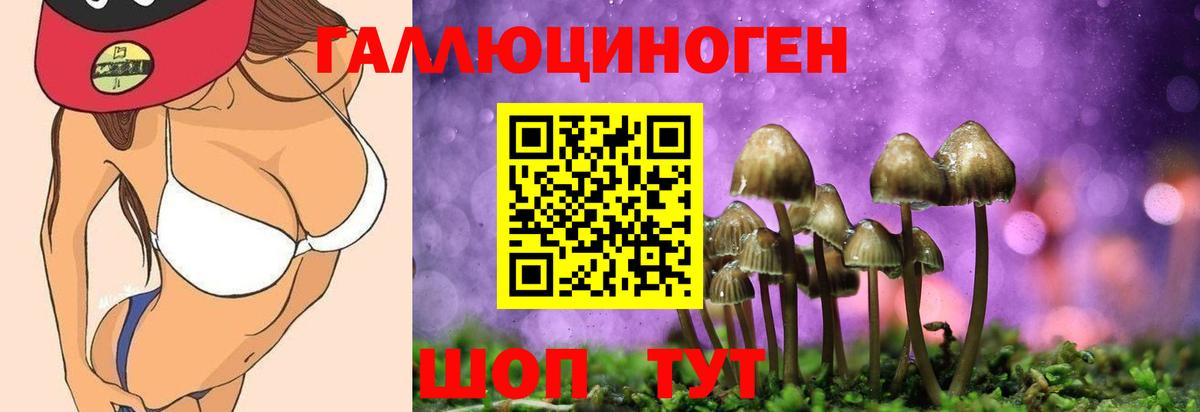 Галлюциногенные грибы ЛСД Качканар