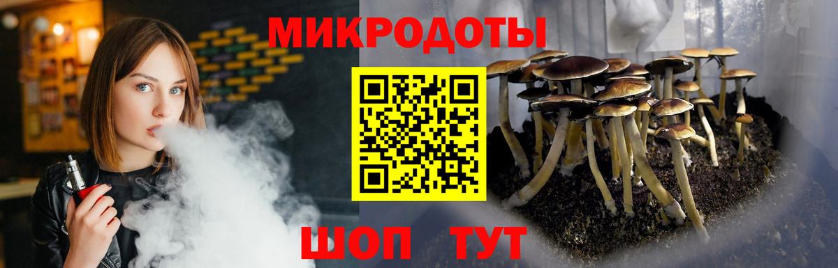 Качканар  Псилоцибиновые грибы Psilocybine cubensis  Псилоцибиновые грибы мицелий  Вход с VPN 